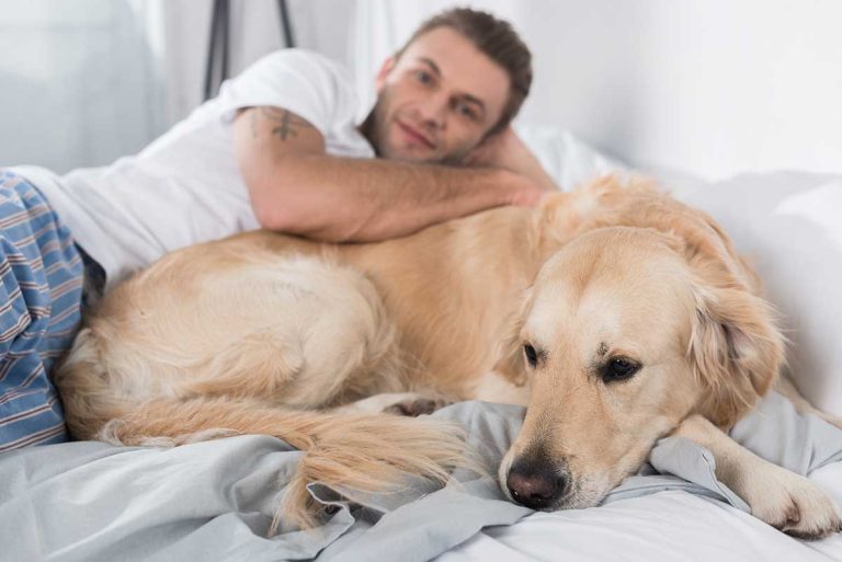 Les races de chien qui font les meilleurs amis de leur maître