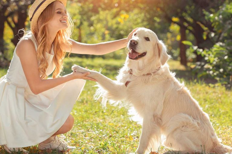 Les races de chien qui font une priorité absolue de leur maître