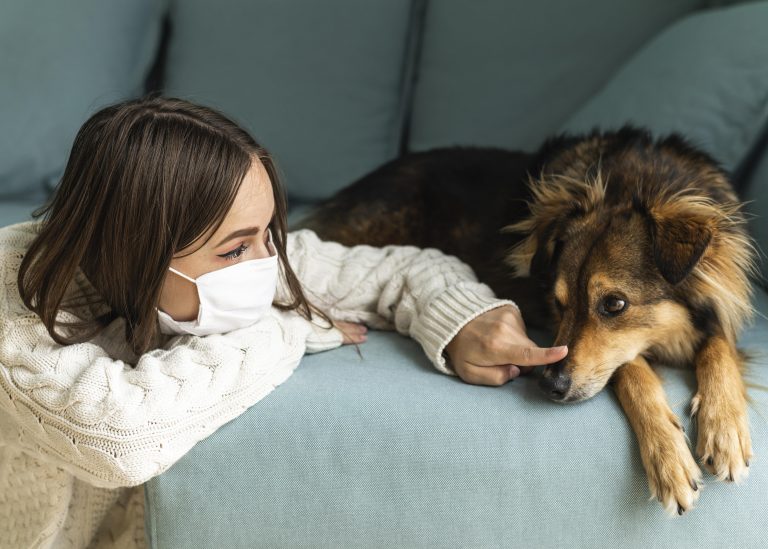 Pourquoi mon chien dégage une mauvaise odeur ?