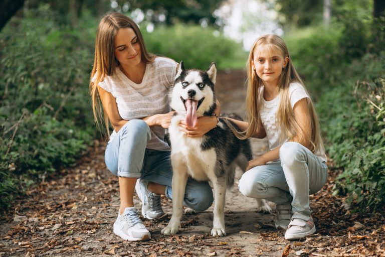 Les chiens se comprennent-ils entre eux