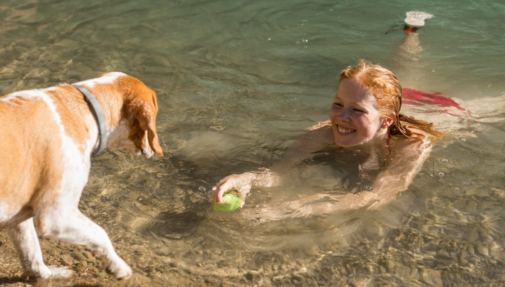 Astuces pour garder votre chien au frais pendant l'été