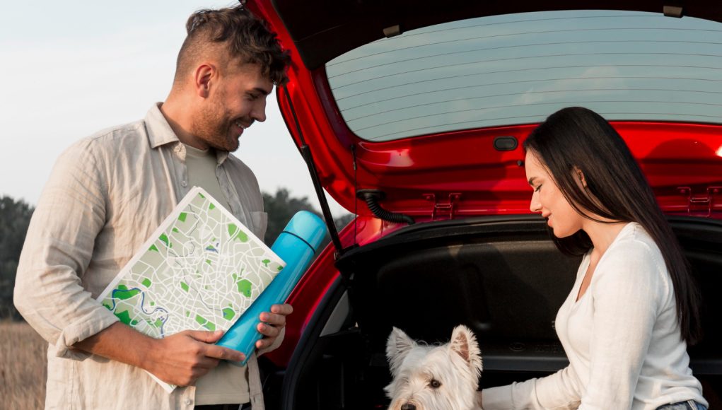 Planifier un road trip avec votre chien