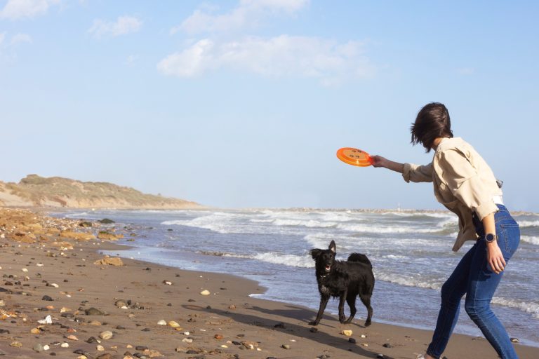 Comment occuper votre chien pour qu’il ne s’ennuie pas ? 
