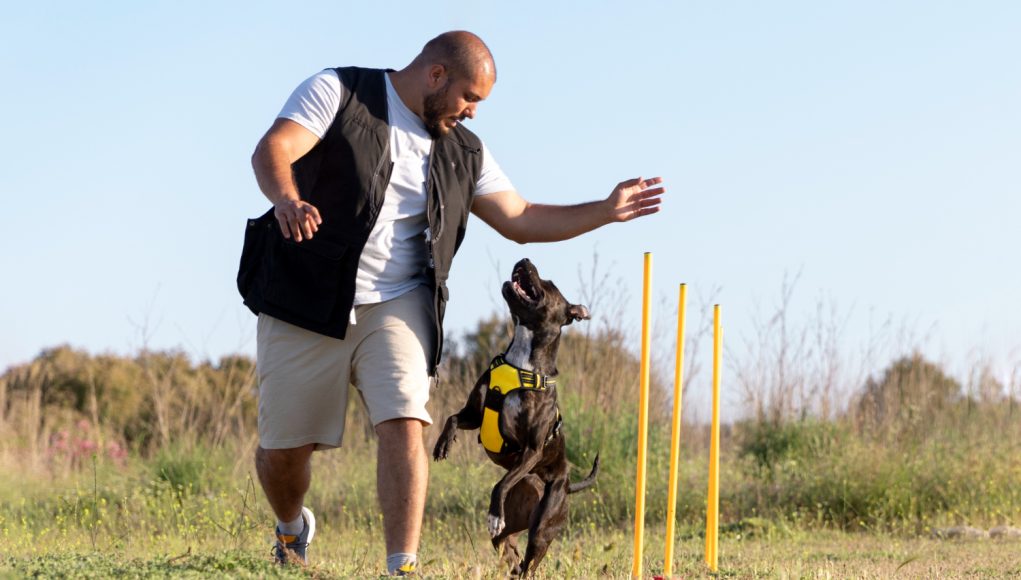 Sports canins à pratiquer avec son chien