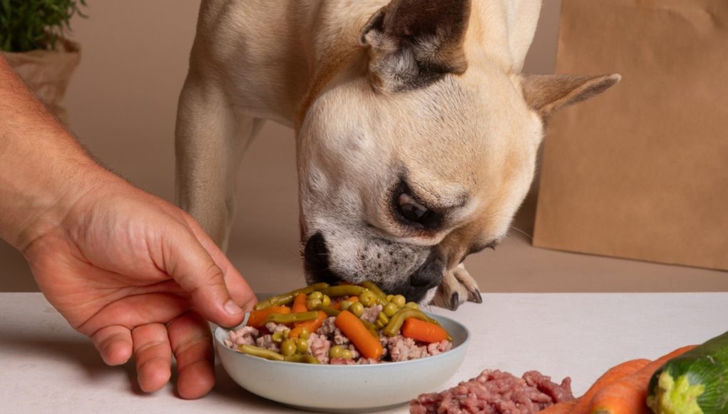 Bienfaits méconnus de l'alimentation naturelle pour votre chien