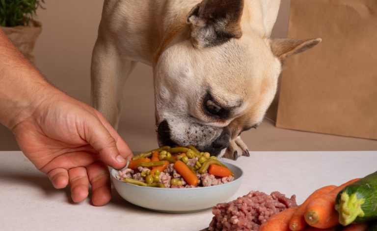 Les bienfaits méconnus de l’alimentation naturelle pour votre chien