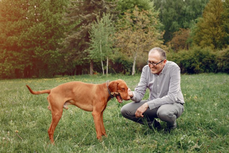 Ces races de chien ont une longévité exceptionnelle