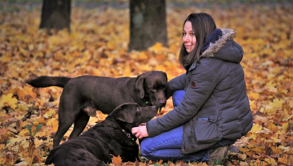 Impact de la compassion de votre chien sur votre bonheur