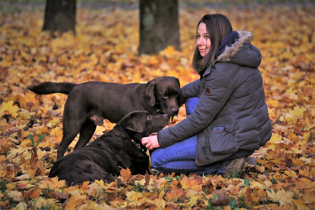 Impact de la compassion de votre chien sur votre bonheur