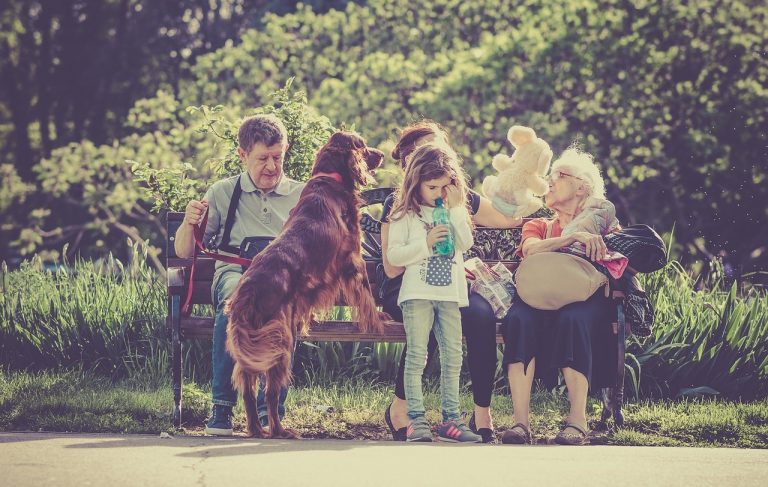 Les chiens et leur instinct de protection : comment veillent-ils sur leur famille ?