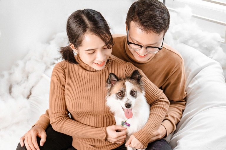 Nos conseils pour empêcher votre chien de fuguer