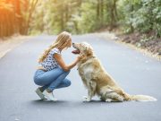 Voici 8 preuves que votre chien vous aime vraiment preuves que votre chien vous aime vraiment