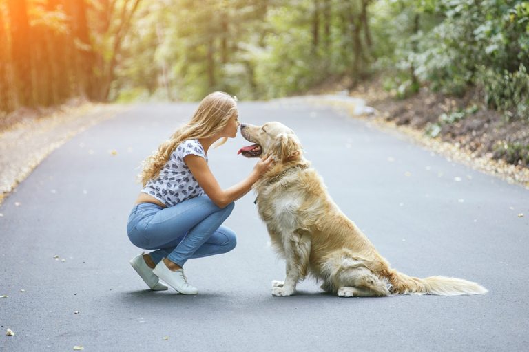 Voici 8 preuves que votre chien vous aime vraiment