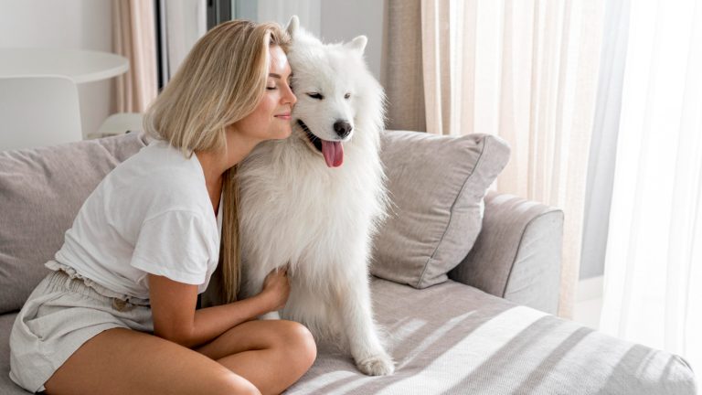 Les races de chien qui apportent un réconfort exceptionnel à leur maître