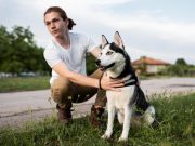 Qu’est-ce que les chiens aiment le plus chez leur maître ? communication pour une relation harmonieuse