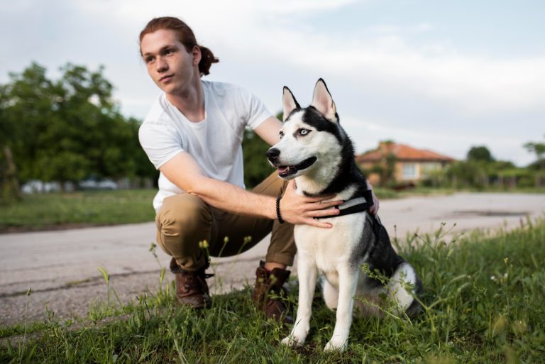 Qu’est-ce que les chiens aiment le plus chez leur maître ?