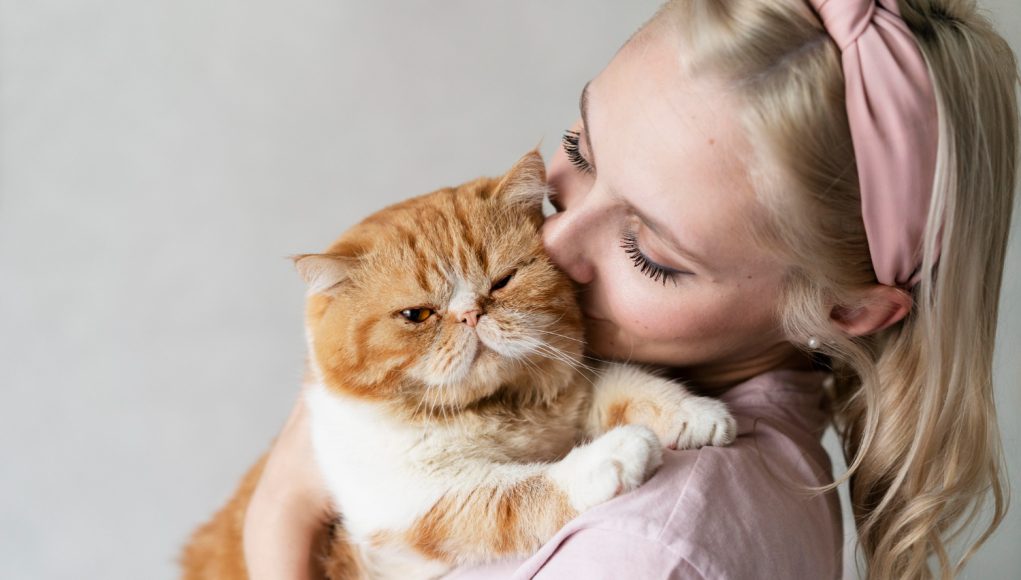 votre chat vous montre son affection