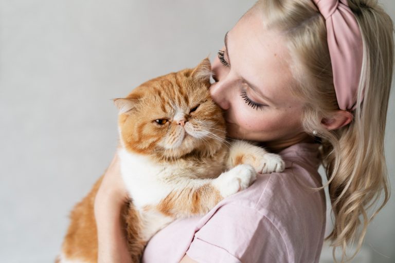 Votre chat essaie de vous transmettre 3 messages quand il ronronne