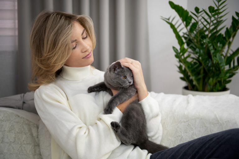 Les races de chat qui sont les plus attachées à leurs maitres