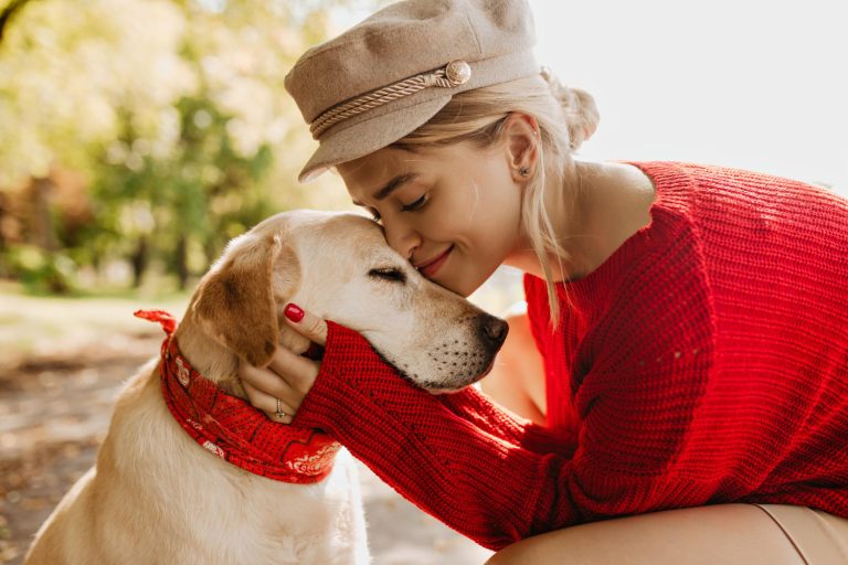 Les mots à dire qui apaisent et rassurent le plus votre chien