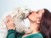 Est-ce que votre chien aime vraiment les bisous ? chien aime vraiment les bisous