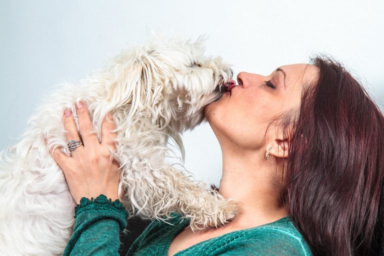 Est-ce que votre chien aime vraiment les bisous ?