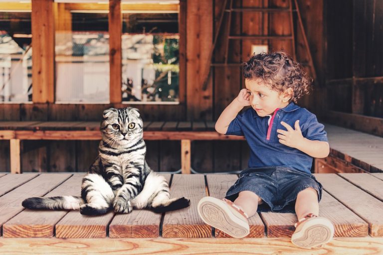 9 façons simples de renforcer le lien entre votre chat et votre enfant