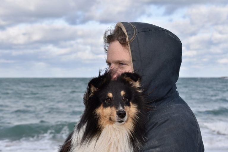 Voici les 7 races de chien sont les plus agréables avec leur maître
