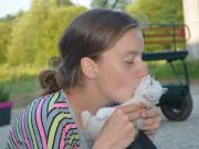 Est-ce que les chats comprennent les bisous ? les bisous