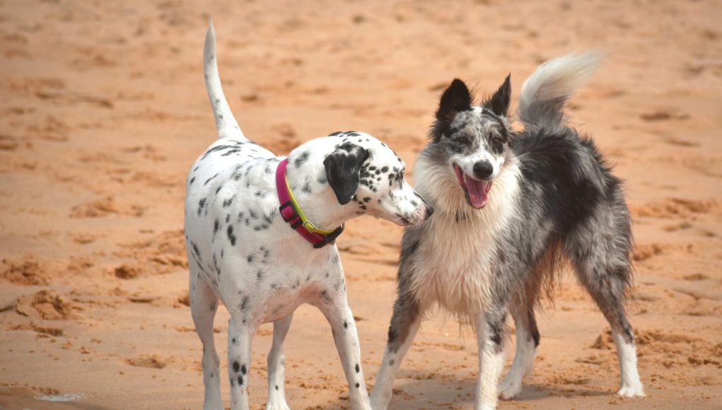 jeux à la plage