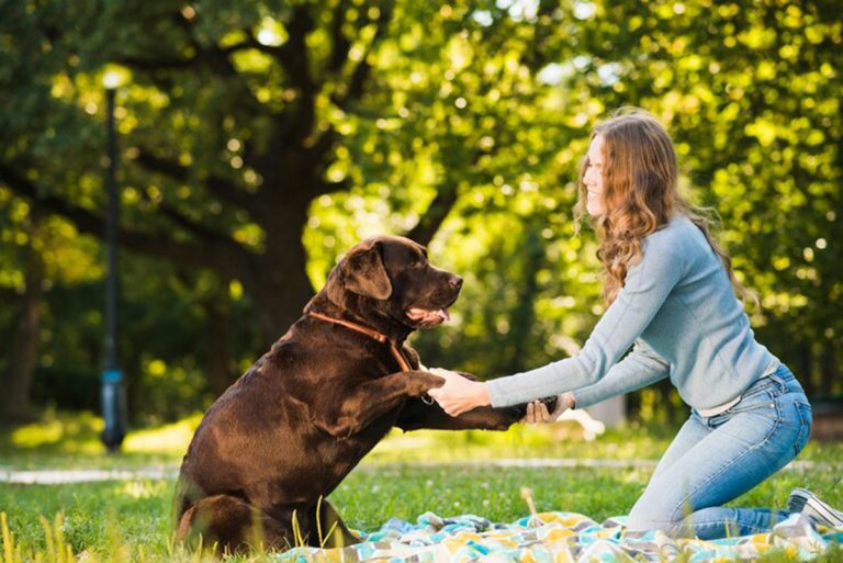 Les 5 erreurs à éviter pour une relation harmonieuse avec votre chien