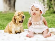 Le rire chez les animaux : mythe ou réalité ? rire chez les animaux