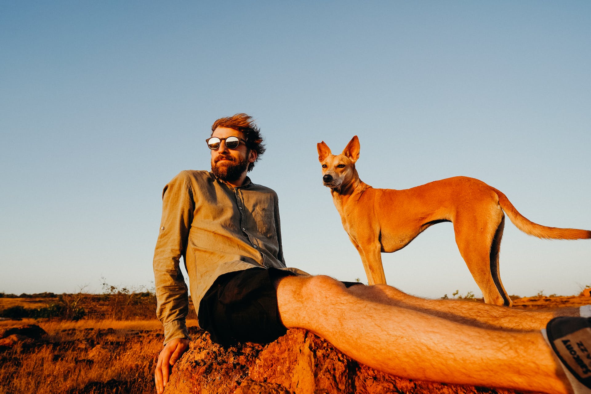 Chien Basenji et son meître