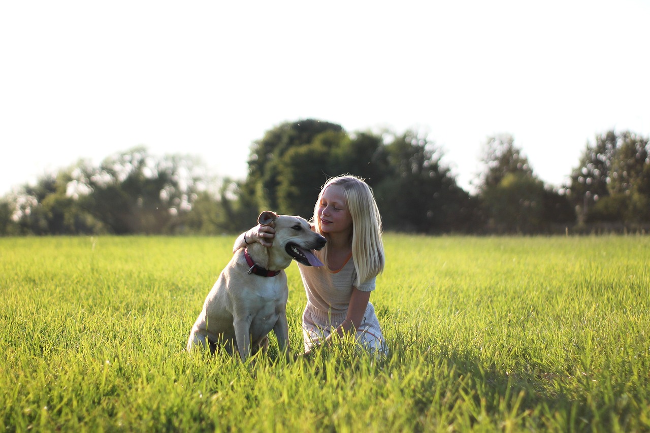 chien de compagnie et enfant