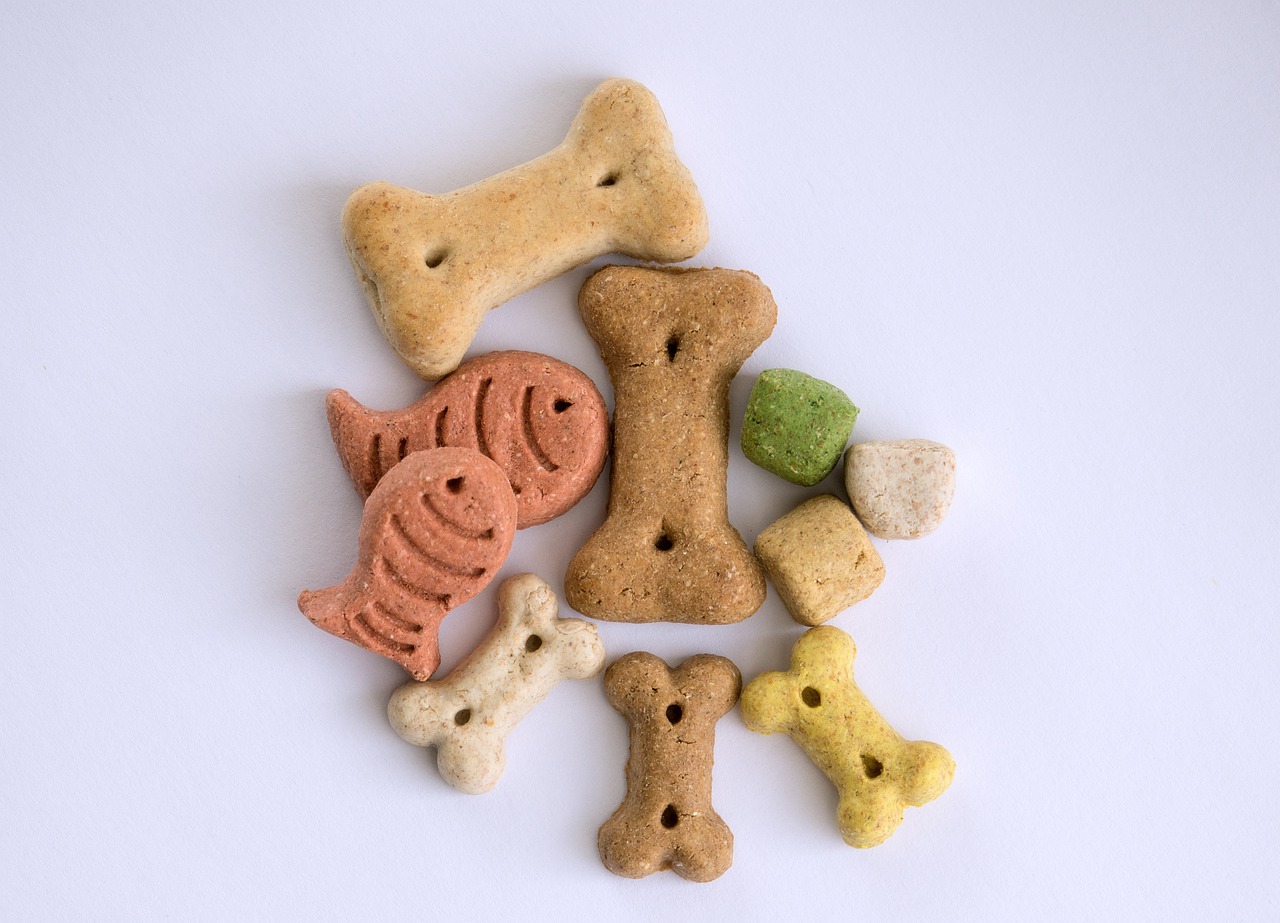 Friandises pour chien