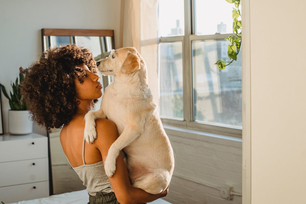 Labrador et son propriétaire