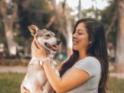 5 signes que votre chien a peur de vous perdre Des races parfaites pour la thérapie animale