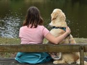 Comment savoir si votre chien vous considère comme son complice ? les meilleurs chiens d’alerte