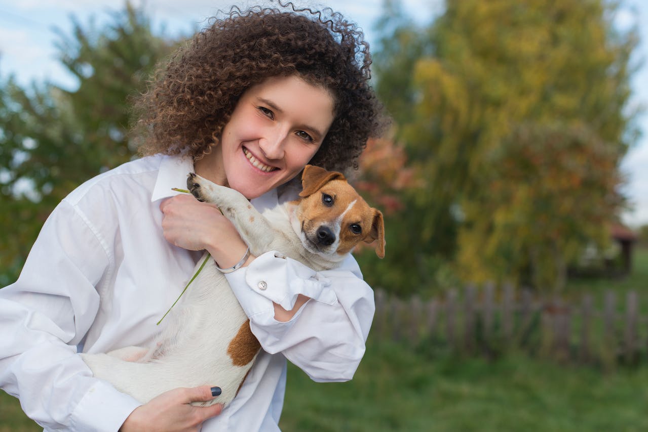Jack Russell Terrier