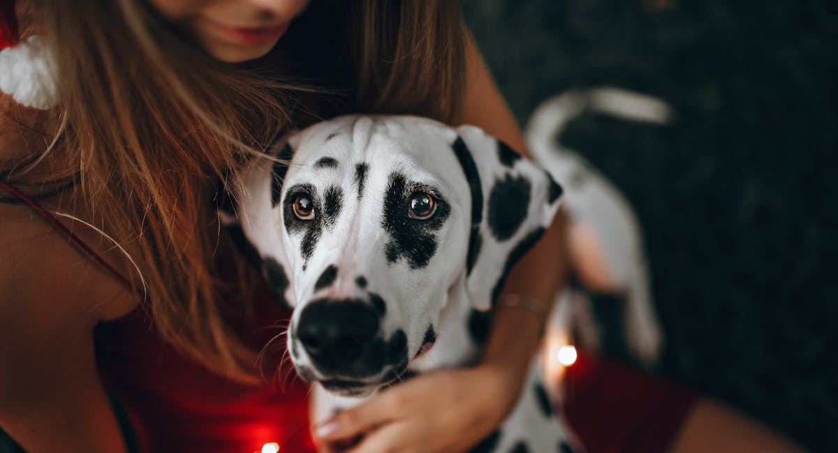 Dalmatien