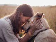7 pratiques de la punition positive avec votre chien races de chien adaptées personnes qui vivent seules