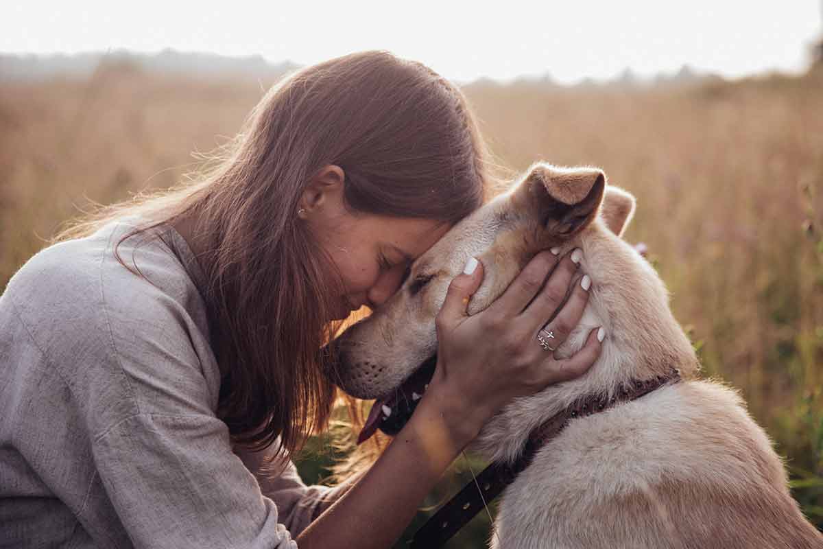 races de chien adaptées personnes qui vivent seules