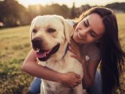 Les races de chiens qui sont des compagnons bienveillants avec leur maitre races de chiens sont des compagnons bienveillants