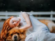 Où est-il préférable de faire dormir son chien ? Où faire dormir son chien