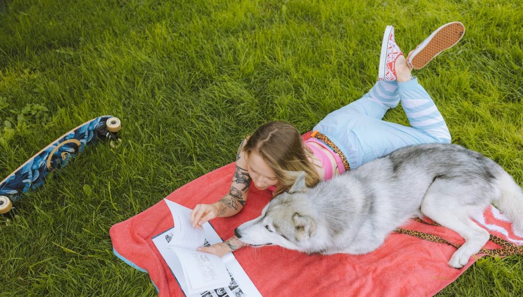 chiens à caractère facile