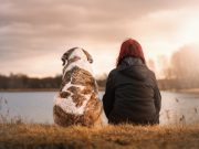 Les races de chien qui sont parfaites pour les amoureux de la nature chien femme