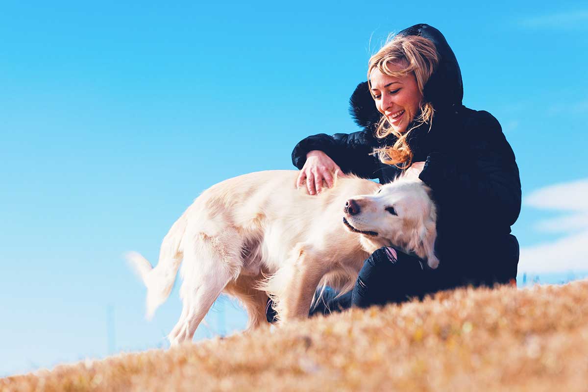 races de chien qui détecter changements de santé chez leur maitre