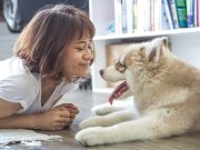Comment rassurer votre chien pendant votre absence ? rassurer votre chien pendant votre absence