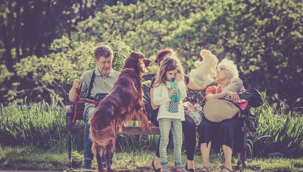 Chien et sa famille