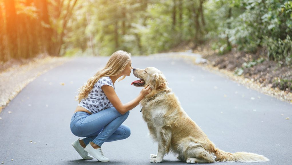 preuves que votre chien vous aime vraiment